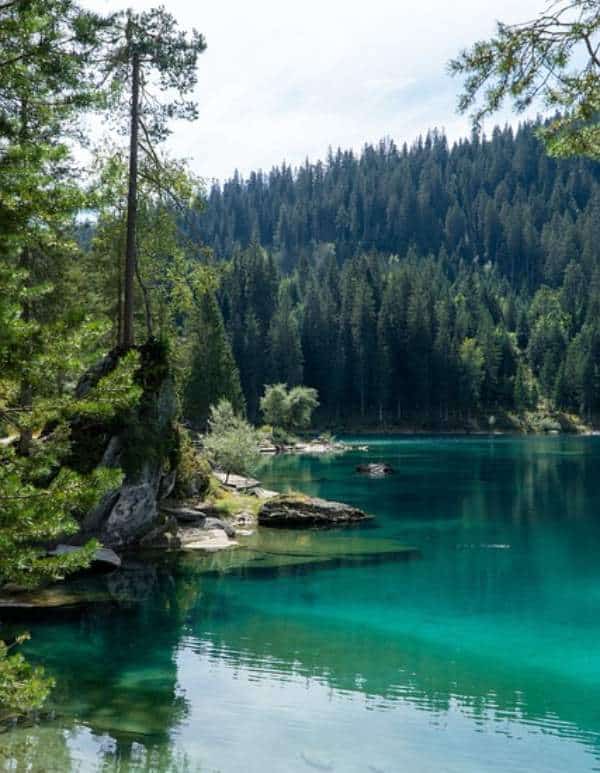 Sightseeing & Cinema Trip in Switzerland